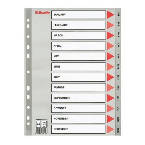 Index din plastic Esselte, A4, index Ianuarie-Decembrie