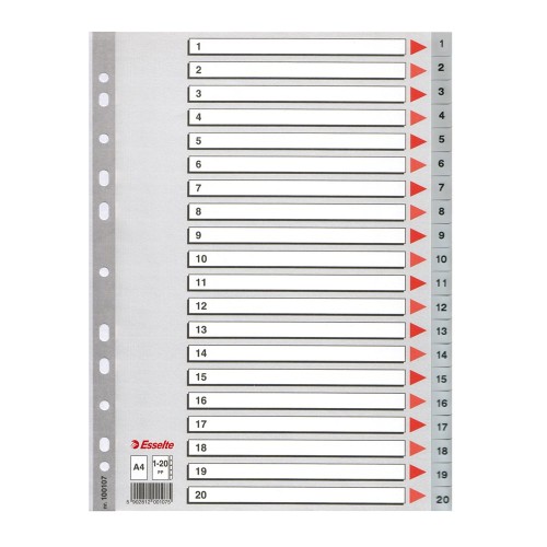 Index din plastic Esselte, A4, index 1-20