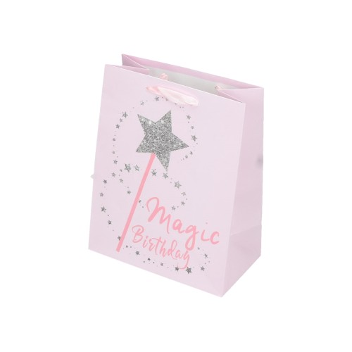 Punga cadou Creative Birthday, dimensiune 17.8x22.9x9.8cm, diverse modele